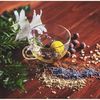 Gin's Integrative Medicine