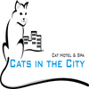 Cats In The City