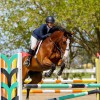 Five Star Stables