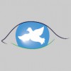 Burd's Eye View