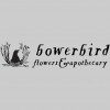 Bowerbird Flowers & Apothecary