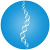 Wellness Evolved Chiropractic