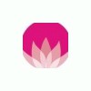 Mountain Lotus Yoga & Massage