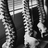 Sylvan Chiropractic Clinic & Wellness Center