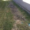 Green Earth Solutions