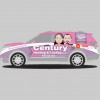 Century Heating & Cooling