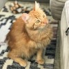 West Wind Pet Care