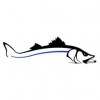 Blue Line Fishing Charters