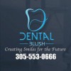 Dental Blush Miami PA