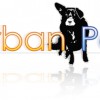 The Urban Pet