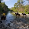 Texas Trail Rides