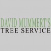 David Mummert