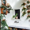 Pistils Nursery