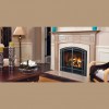 Gas Fireplaces Plus