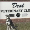 Deal Veterinary Clinic