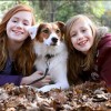 Seagrove Animal Hospital
