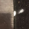 DP Customs N Terior & X Terior