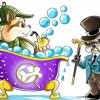 Sherlock Bones Mobile Grooming
