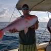 Congo Charters
