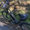 Wildlife Cycles
