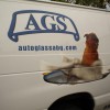 Auto Glass Services