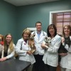North Elm Animal Hospital