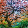 Aaron Reed Photography