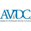 Dallas Veterinary Dentistry & Oral Surgery