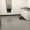 Berlin Animal Hospital