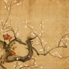 Point Of Health Acupuncture