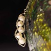 Contempo Jewelry Design