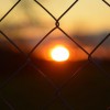 Orange Fence