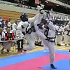 West Haven Academy Of Karate