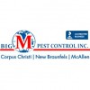 Big M Pest Control