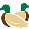 Dryer Ducks