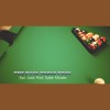 The Pool Table Pros