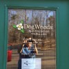 Dogwoods Boarding Kennel
