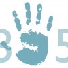 305 Florida Contractors