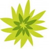 Allen's Flowers & Plants
