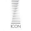 Icon Realty Management