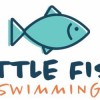 Little Fish Swimming