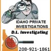 D L Investigating