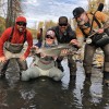 Dave Fish Alaska