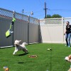 Bark Park