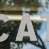 Grandview Animal Hospital