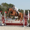 Top Flight Equestrian