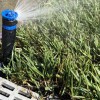 Master Tech Irrigation