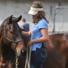 Horse First
