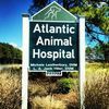 Atlantic Animal Hospital