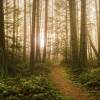 Northwest Retirement Plan Consultants